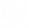 DLG Consulting