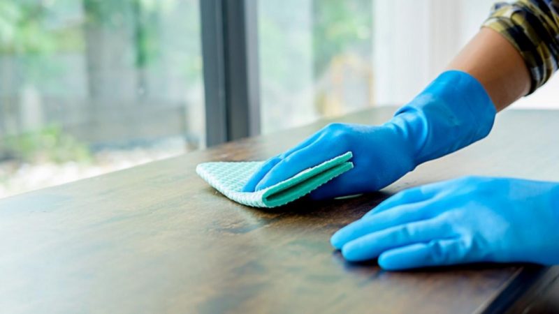 PERSONAL DE CASAS PARTICULARES